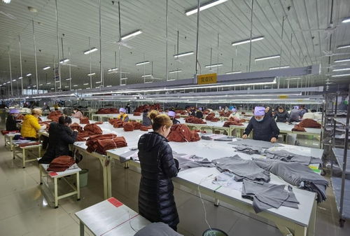 立足產業優勢，穩步推進紡織技術開發——寧夏靈武市高質量建設現代紡織先行區