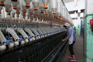 紡織廠如何精準(zhǔn)開拓客戶并推動(dòng)紡織技術(shù)開發(fā)